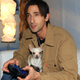 Illustration for article titled Video game Twitter account asks the most important question of all: Can you pet the dog?